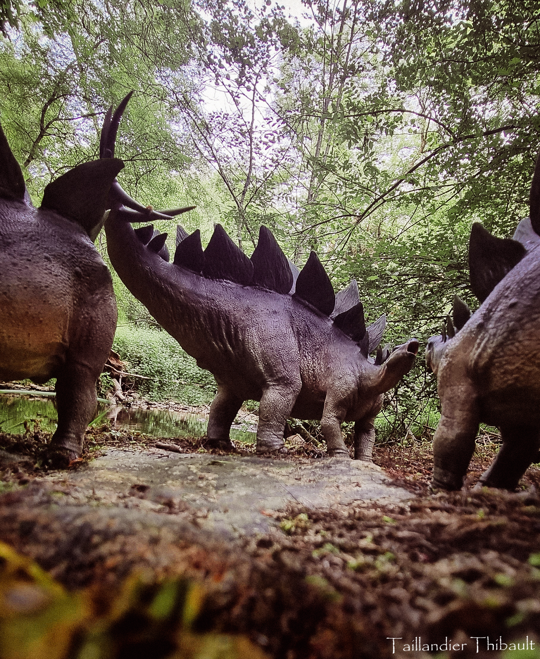 stegosaure-family